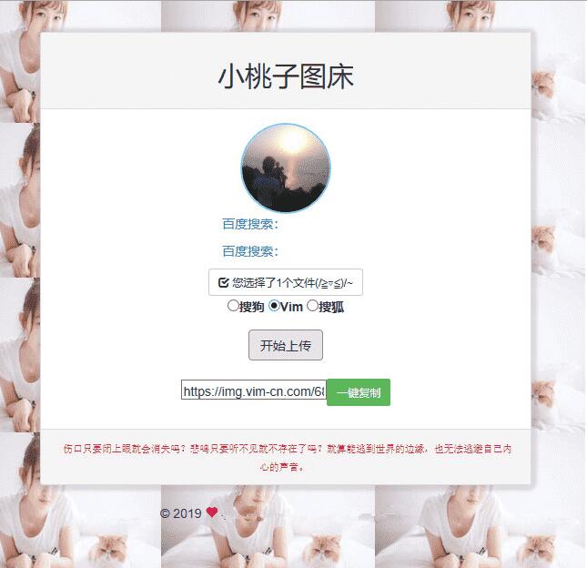 聚合图床程序源码 支持搜狗搜狐Vim图-一生相随博客