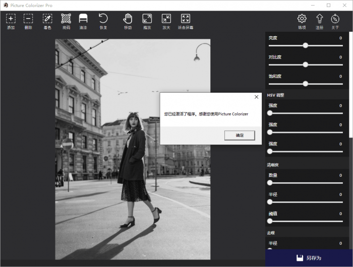Picture Colorizer v2.4.0-一生相随博客