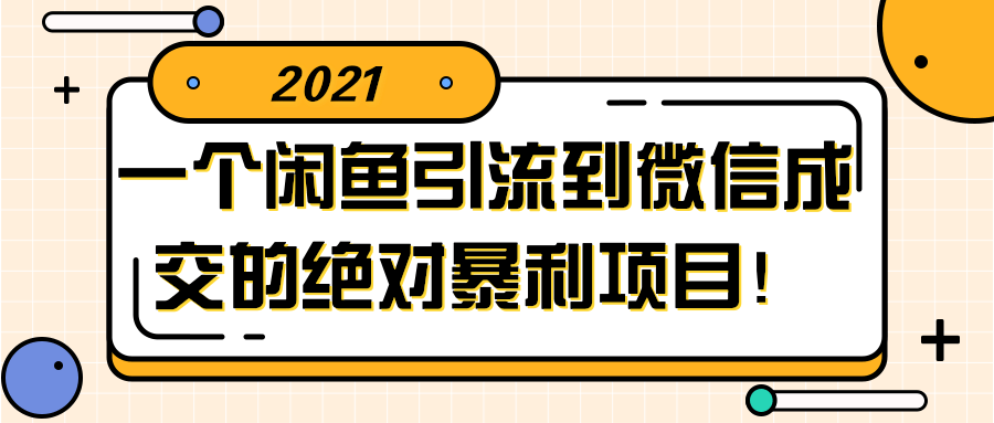 闲鱼引流到微信成交的绝对暴利项目！【视频教程】-一生相随博客
