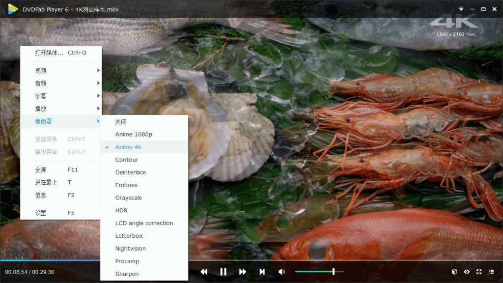DVDFab Player v6.1.1高级版-一生相随博客