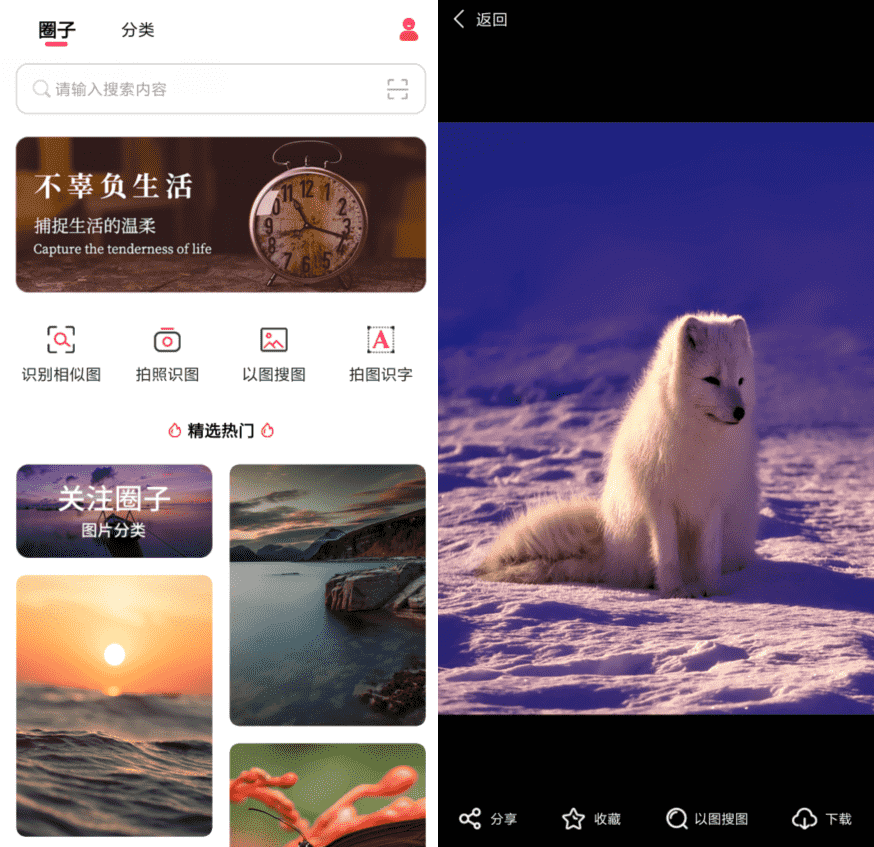 以图搜图v1.0.0纯净版-一生相随博客
