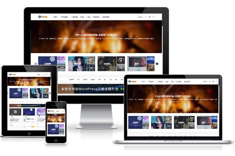 WordPress付费资源下载主题：ripro8.7最新破解版-一生相随博客
