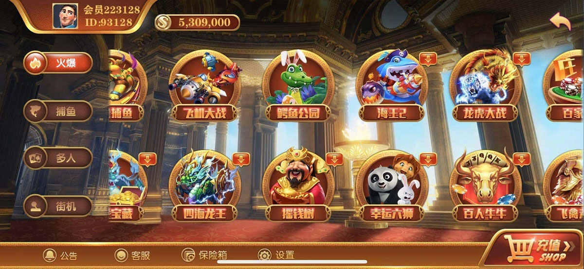 无错运营级别逍遥娱乐,2021最新大富豪,二开增加多款子游戏,双端完整组件-一生相随博客