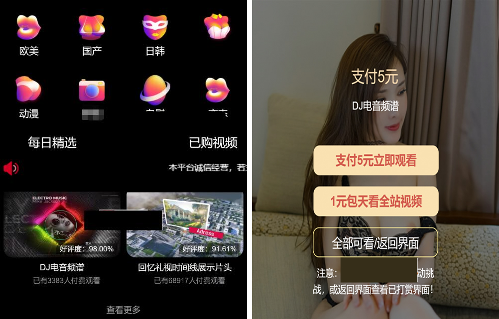 最新版付费视频打赏程序源码 多模板+全新UI 带包天+可扣量+代理 非云赏V系列-一生相随博客