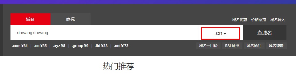 新网.CN域名领券享5元/1年插图1