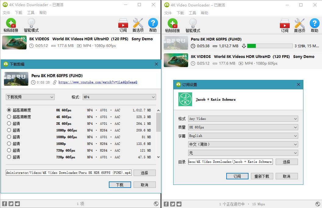 油管高清视频下载利器4K Video Downloader v4.20.4-一生相随博客